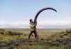 Фото Куплю рог носорога, бивни мамонта и слона, зуб кашалота и кита